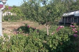 Продам дом в Новопавловке