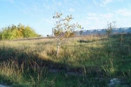 Продам участок в СНТ Родничок