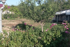 Продам дом в Новопавловке